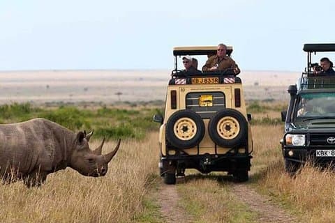 6 dager Samburu, Lake Nakuru og Masai Mara Safari på 4x4 Jeep