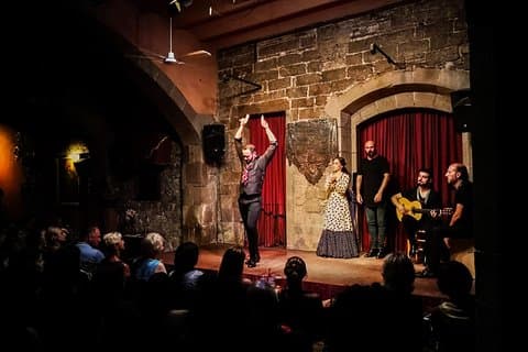 Visite privée de Barcelone : Tapas et dégustation de vin avec spectacle de flamenco