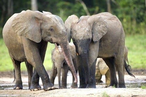 Gite di un giorno al Lago Manyara