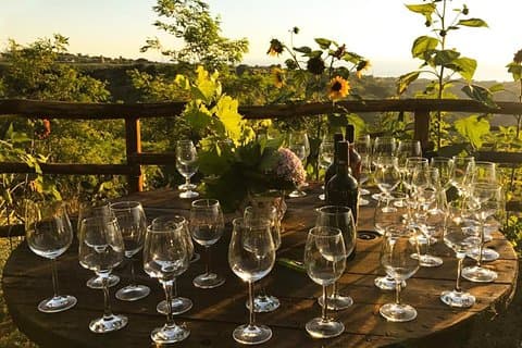 Wine and food tasting
