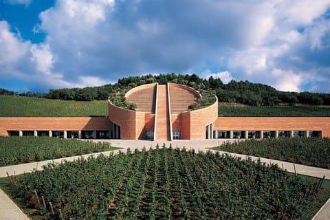 Suvereto Wine Experience TOUR PRIVADO de SIENA