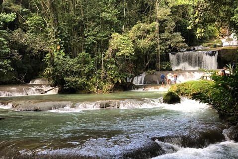 Visite de la côte sud de la Jamaïque YS Falls