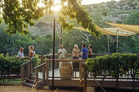 Verde Valley Wine Tour - 4 Vineyards, Limo Style Bus, Charcuterie