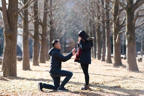 Privat Nami Island Photo Shoot and Tour med en fotograf
