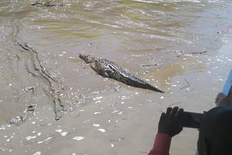 Wildlife river boat safari & Cultural experience.