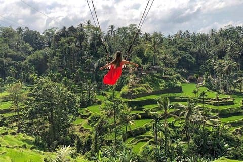 Rice Terrace och Bali Swing Tour