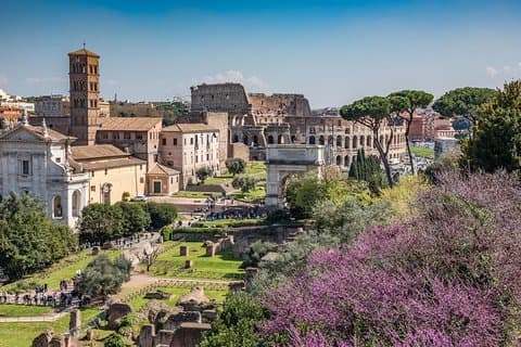 Visite privée d'une journée à Rome avec le Colisée et la Chapelle Sixtine: expérience essentielle