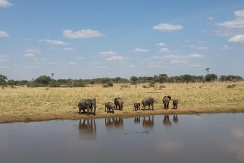 03 días, 02 noches de safari al lago Manyara, Ngorongoro y Tarangire