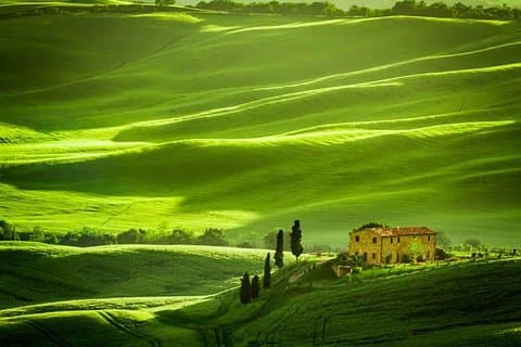 Privé: Dagtour Toscane vanuit Rome met optionele wijnproeverij