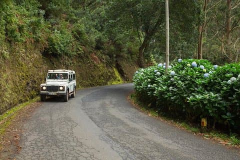 Private Tour: Combo Expedition (Jeep Tour & Levada Walk)