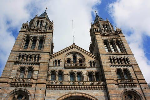 Tour privado del Museo de Historia Natural de Londres para niños y familias