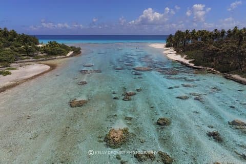 Reef island private tour