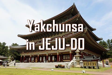 [Jeju Island] Aanpasbare privé taxitour