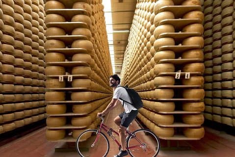 Cykling og spisning omkring Parma, mellem Parmigiano og Aceto Balsamico