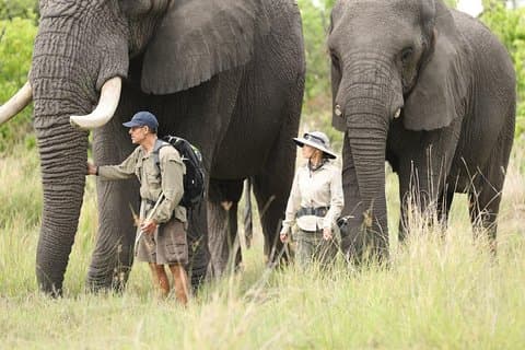 3 Days Samburu Big Five