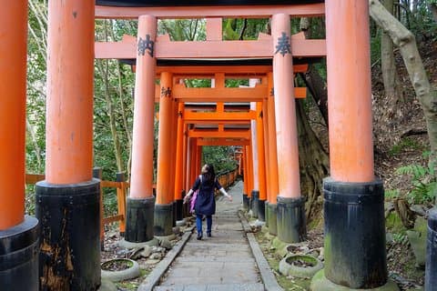 Explore a excursão ao Japão: grupo pequeno de 12 dias