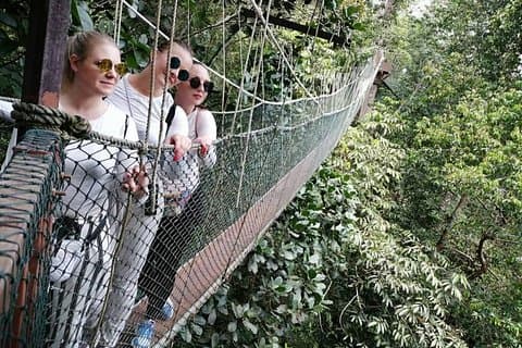 4D 3N Tour Kuala Lumpur -Camerons-Taman Negara -Kuala Lumpur.