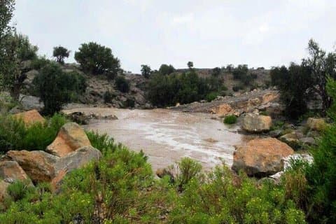 Jebel Akhdar Tour (per kjøretøy)