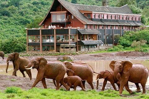 Privado de 5 dias Aberdares Ol Pejeta Conservancy e Samburu Wildlife Safari