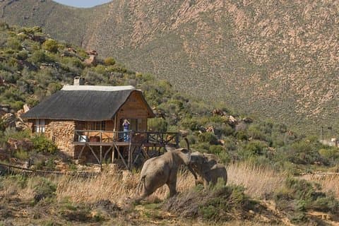 Le Cap Safari Big 5 expérience tout compris