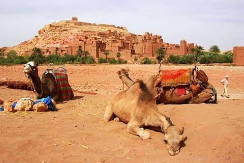2 Tagesausflüge Marrakech Merzouga Erg Chebbi Kameltrek 2 Tage 1 Nächte Luxus