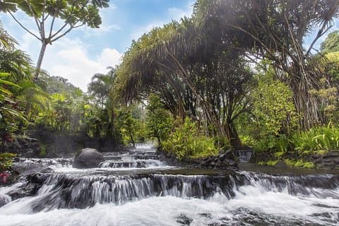 Pase de un día para las aguas termales de Tabacón