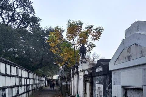 Excursão pelo Garden District de um local