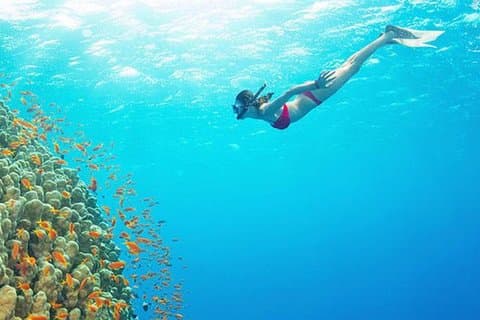 Snorkel en Bali en Blue Lagoon con guía personal