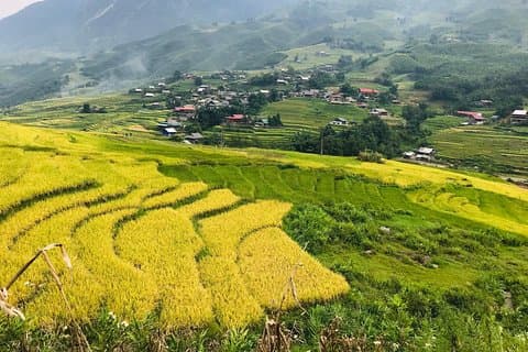 Da Hanoi: 2 giorni di trekking di lusso a Sapa e Fansipan Peak con Dcar