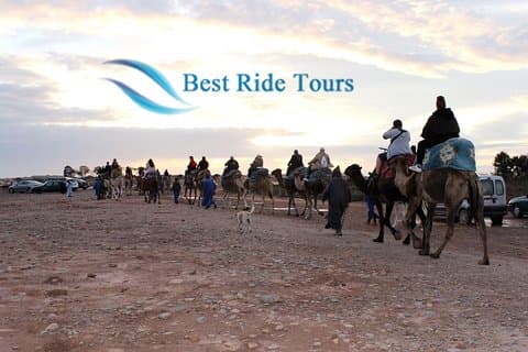 Agadir Camel Riding