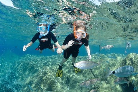 Snorkeling - In barca sul posto nella baia di Cannes o Estérel