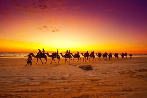 Sunset Camel Ride In Agadir