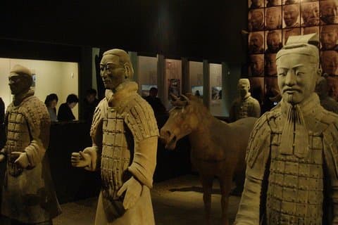 Incontra la nostra Guida professionale nel Museo dei Guerrieri