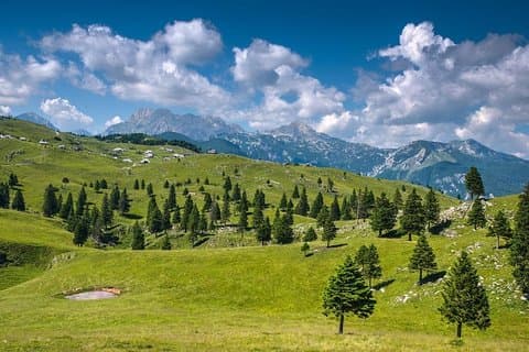 Velika Planina privat vandretur fra Ljubljana