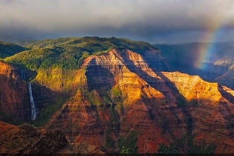 Kauai Canyon Explorer: Private Tour Featuring Waimea & Kokee