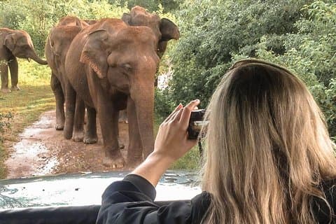 Sri Lanka Aborigen Tour (4 días)