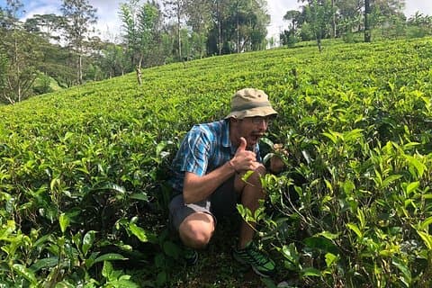 Ceylon Tea Tour (10 Days)