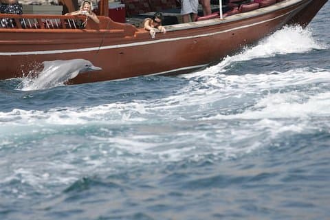 Musandam Khasab Full day dhow cruise with Lunch