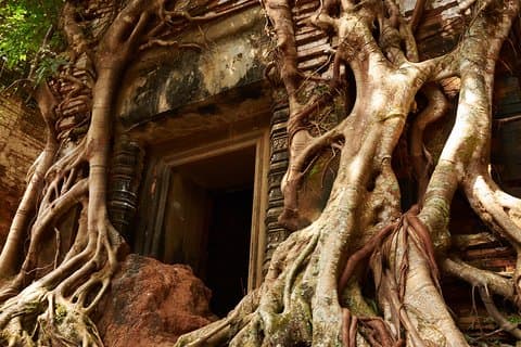 Privat en dag till Beng Mealea, Koh Ke och Preh Vihear-templen