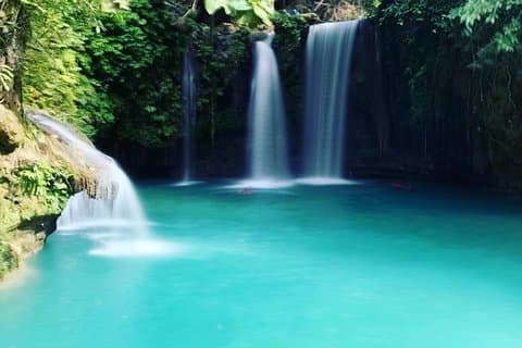 Cebu chasing waterfalls, whalesharks, sardines & turtles