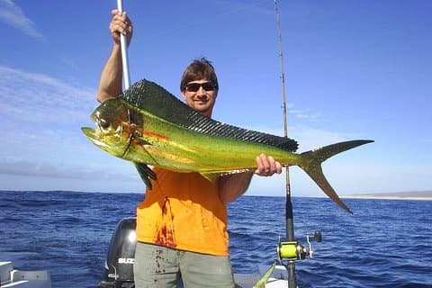 Hoteller i nærheden af Cabo San Lucas