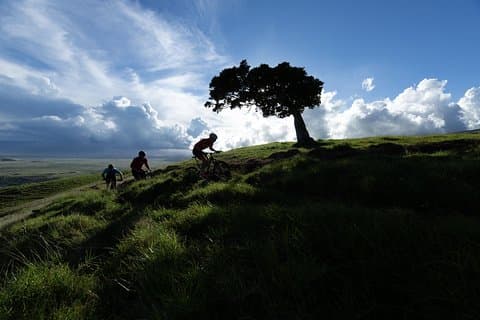 Big Island Mountain Biking on Anna Ranch