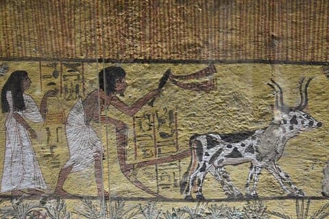 Excursão Luxor Dendera com um felucca de Hurghada em um carro particular