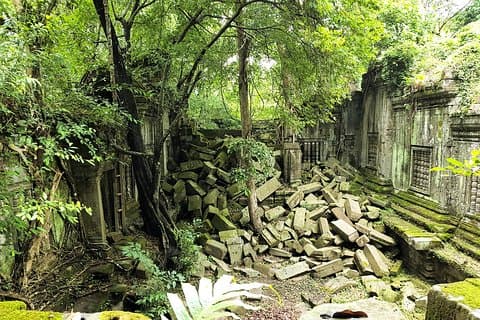 1 Tag Sonderreise: Angkor Wat, Bayon, Ta Prohm, Bantey srei und Beng Mealea