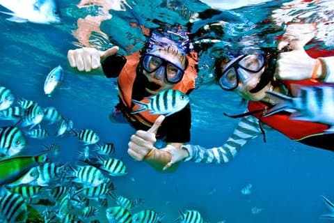Schnorchel-Erlebnis in Blue Lagoon Bali mit Mittagessen und Transfer