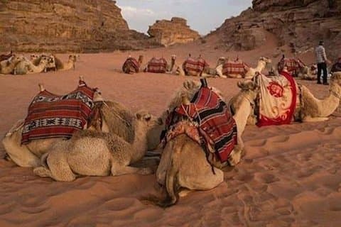 Super Safari Hurghada