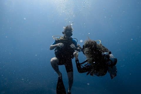 Auffrischungs-Tauchkurs Costa Rica