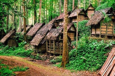 Private Tour mit Mittagessen: Jakarta nach Baduy Tribal