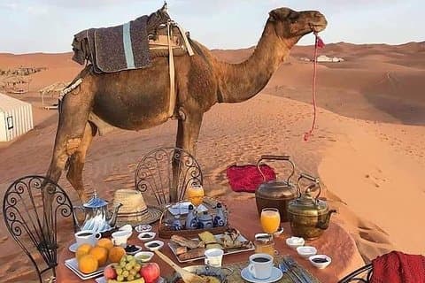 3-dages ørkenstur fra Marrakesh