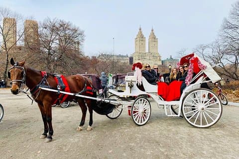 45 minuters VIP Central Park Carriage Ride